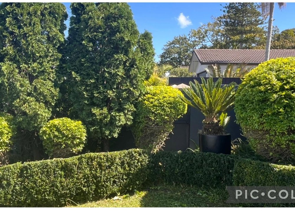 Garden after tidy-up