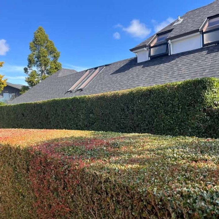 Weeding & Tidy Beds